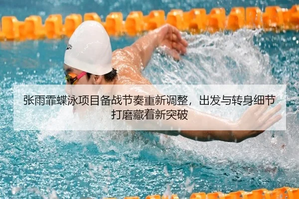 zhang-yu-fei-die-yong-xiang-mu-bei-zhan-jie-zou-chong-xin-tiao-zheng-chu-fa-yu-zhuan-shen-xi-jie-da-mo-cang-zhe-xin-tu-2-601.jpg